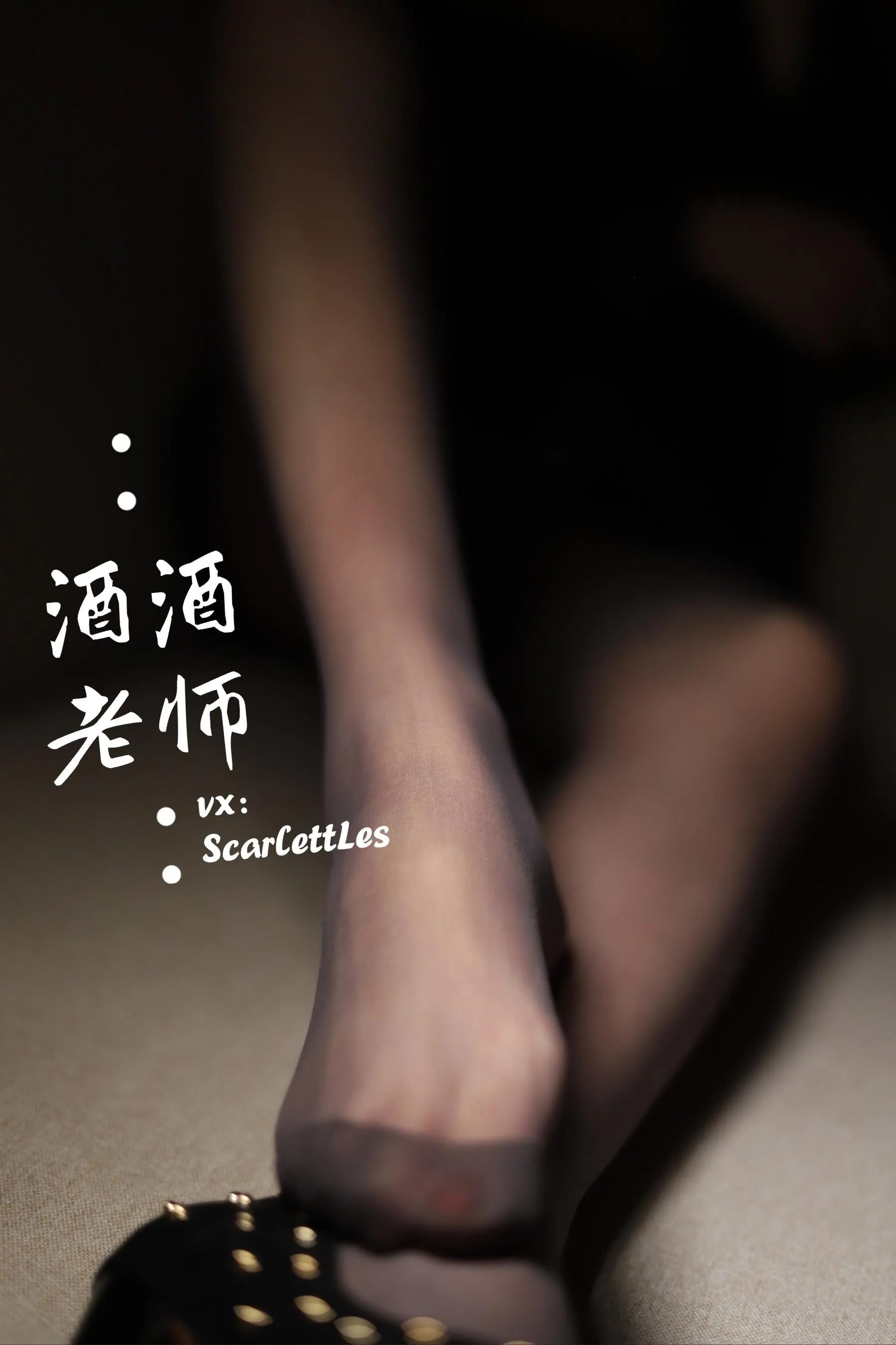 NO.017 酒酒老师 17《紧身短裙S身形》 [52P]插图